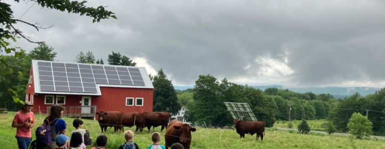 How Healthy is Our Air?